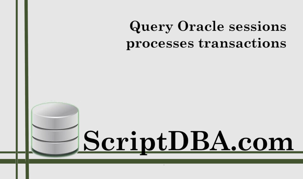 Query Oracle sessions processes transactions cursors